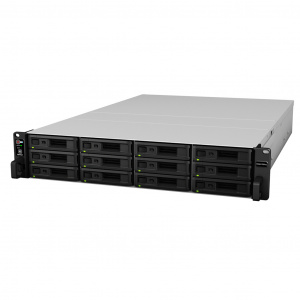   Synology RS3617RPxs -    (96000 Gb WD Enterprise Edition)