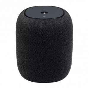 ����� ������������ ������� JBL Link Music Yandex Black (JBLLINKMUSICBLKRU) (������.�����)