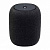    JBL Link Music Yandex Black (JBLLINKMUSICBLKRU) (.)