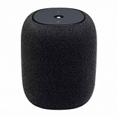 ����� ������������ ������� JBL Link Music Yandex Black (JBLLINKMUSICBLKRU) (������.�����)