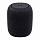 ����� ������������ ������� JBL Link Music Yandex Black (JBLLINKMUSICBLKRU) (������.�����)