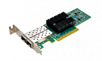 Synology E10G17-F2 ������� Ethernet - ���� � ������������